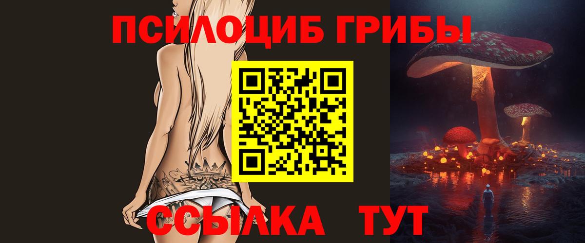Галлюциногенные грибы Psilocybine cubensis  Вход с VPN  Кыштым 